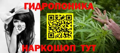 СК Чебоксары