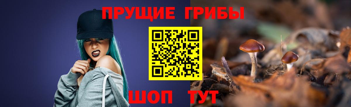Галлюциногенные грибы мицелий Владикавказ
